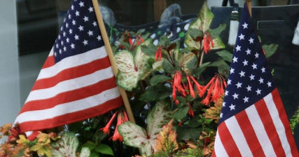 Creative Ways To Add Patriotic Spirit To Your Memorial Day Decorations