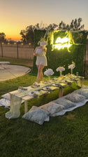 Picnic Paradise: Designing a Dreamy Family Picnic Theme Party Setup