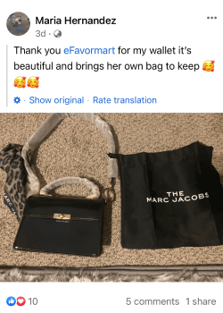 Maria H. Post showcasing The Marc Jacob's purse won from efavormart  