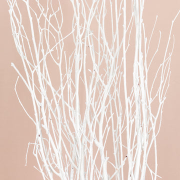 <strong>Stunning Natural Dried White Tree Stem Branches</strong>