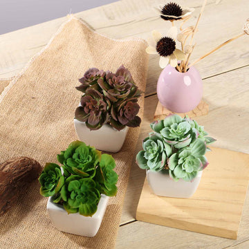 3 Pack Ceramic Planter Pot and Artificial Echeveria Elegans Plants 5"