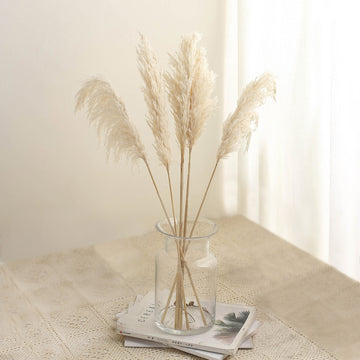 Add a Touch of Natural Beauty to Your Décor with Wheat Tint Dried Pampas Grass