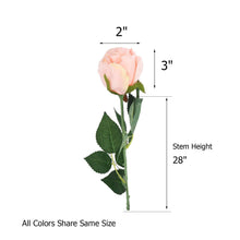 24 Pieces Of 31 Inch Cream Long Stem Artificial Silk Roses Flowers