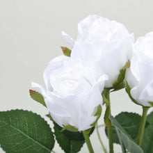 Pack Of 24 White Long Stem Artificial Silk Roses Flowers 31 Inch#whtbkgd