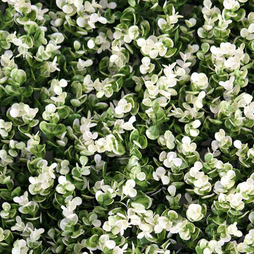 Create Magical Backdrops with the White Tip Green Boxwood Hedge Genlisea Garden Wall Mat