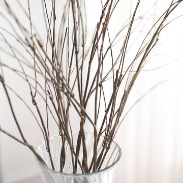 Endless Creativity with Our Lifelike Dry Willow Tree Stem Branches