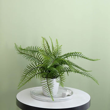 Bring Natural Green Touch to Any Setting with Artificial Cycas Fern