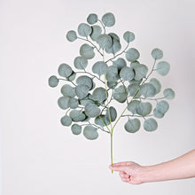 25 Inch Real Touch Artificial Eucalyptus In Frosted Green 4 Pack