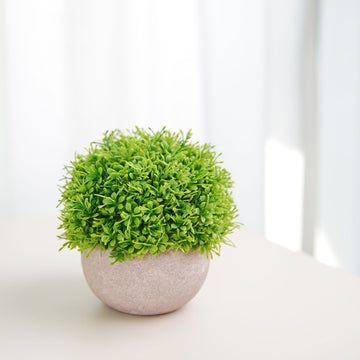 Green Mini Potted Artificial Boxwood Topiary - Add Everlasting Elegance to Your Space