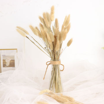 Natural Rabbit Tail Dried Pampas Grass Flower Bouquets - Add a Touch of Whimsy to Your Decor