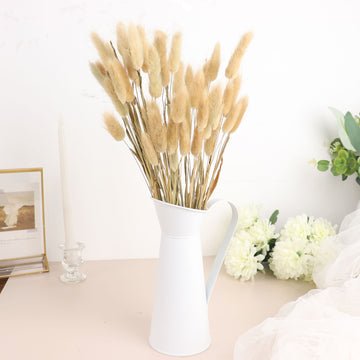 50 Pack Natural Rabbit Tail Dried Pampas Grass - Versatile and Beautiful