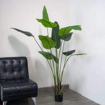 Lifelike and Lush Green Faux Potted Bird of Paradise Plant 5ft - Perfect for Event Decor