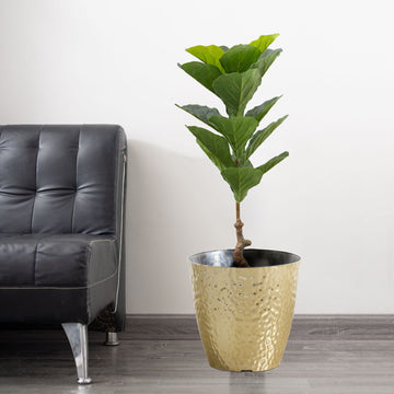 2 Pack Artificial Fiddle Leaf Fig Tree Potted Indoor Planter 3ft - Add a Tropical Twist to Your Indoor Decor