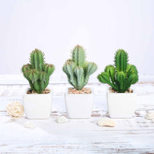 5 Inch Ceramic Planter Pot Artificial Cacti Succulent Plants 3 Pack