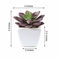 3 Pack Artificial Echeveria Elegans Plants Ceramic Planter Pot 4 Inch