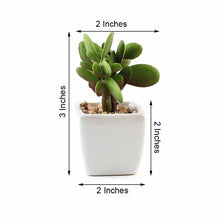3 Pack Artificial Mini Jade Succulent Plant Ceramic Planter Pot 4 Inch