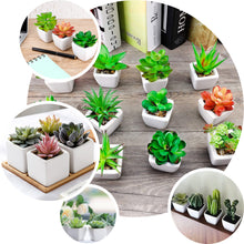 4 Inch Artificial Echeveria Elegans Plants Ceramic Planter Pot 3 Pack
