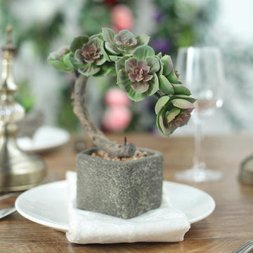 Rustic Grey Concrete Planter Pot for a Natural and Elegant Touch