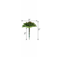 3 Pack Artificial PVC Parva Echeveria Decorative Succulent Plants 3 Inch