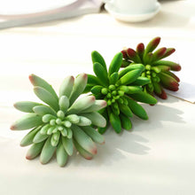 6 Inch Artificial Spike Aeonium Decorative Succulent PVC Plants in Pack of 3
