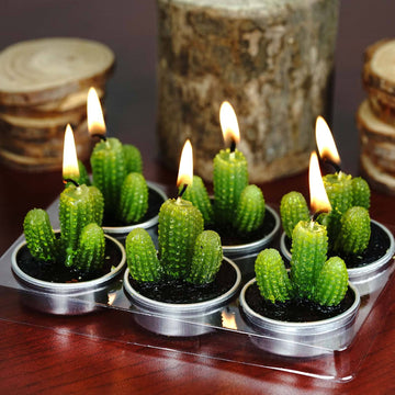 6 Pack Aguacolla Cactus Tea Light Candles in PVC Box