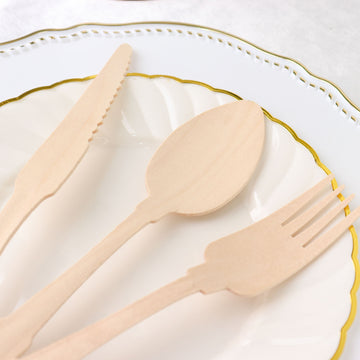 Eco-Friendly Biodegradable Cutlery - A Sustainable Choice