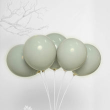 25 Pack Matte Gray Latex Balloons 10 Inch Double Stuffed