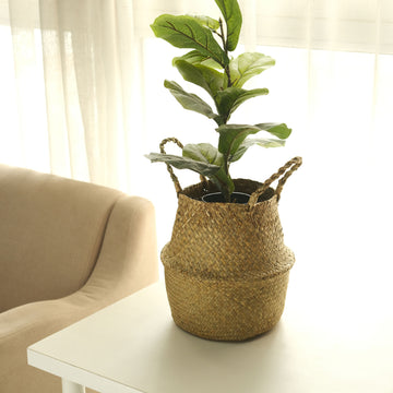 Natural Seagrass Plant Baskets for Stylish and Eco-Friendly Home Decor