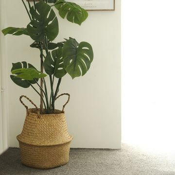 Add a Touch of Natural Charm with Set of 2 Seagrass Plant Baskets