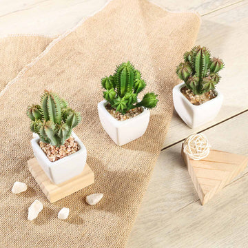 3 Pack Ceramic Planter Pot and Artificial Cacti Succulent Plants 5"