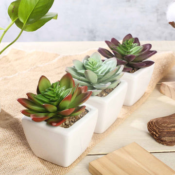 3 Pack Ceramic Planter Pot and Artificial Echeveria Elegans Plants 4"