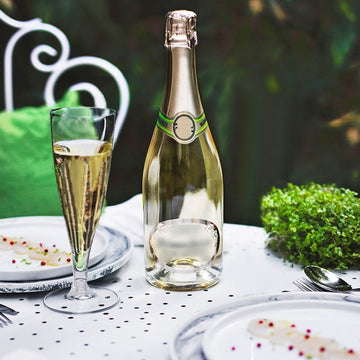 Clear Plastic Hollow Stem Champagne Flute Glasses - Elegant and Versatile