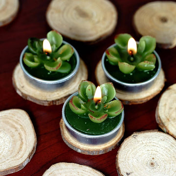 Green Echeveria Cactus Tea Light Candle Wedding Favors