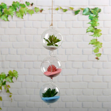 Enhance Your Event Decor with a 4 Pack of Air Plant Hanging Glass Globe Terrariums