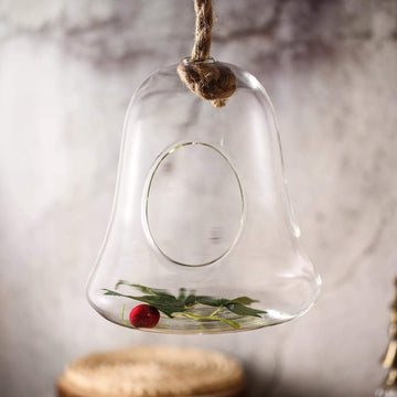 Air Plant Hanging Glass Bell Shaped Terrarium in Clear