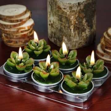 Elegant and Gift-Wrapped Echeveria Cactus Tea Light Candles