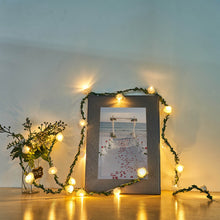 Artificial 9 Feet Warm White Rose Lace Flower Garland Vine String Lights with 20 LED Battery Powered