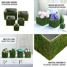 4 Pack Square Shaped Preserved Moss Planter Boxes 6 Inch x 6 Inch with Inner Lining