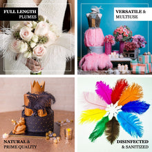 Real Ostrich Feathers For DIY Centerpieces In Mauve
