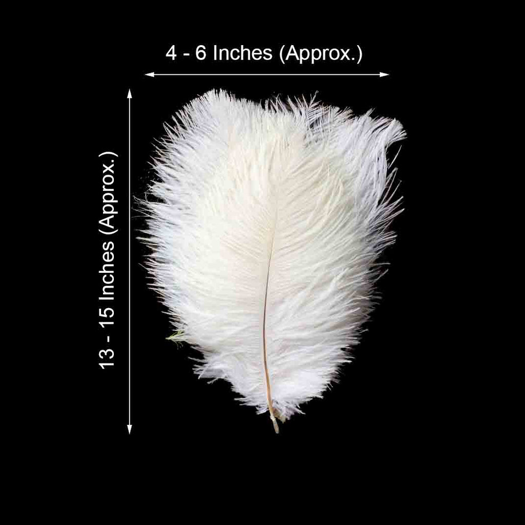 13-15 Pink Ostrich Plume Feathers for Wedding Centerpiece - Pack