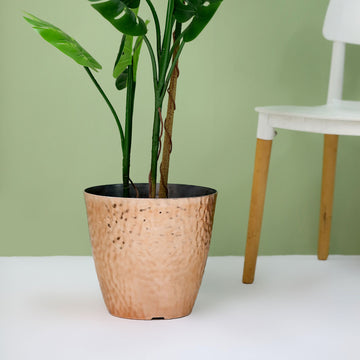 Enhance Your Indoor Plant Decor with a Touch of Luxury