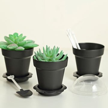 Black Succulent Planter Pots for Stylish Event Decor