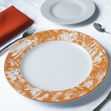 Porcelain Dinner Plates