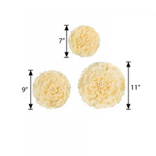 A set of three ivory/cream paper flowers with measurements on a white background