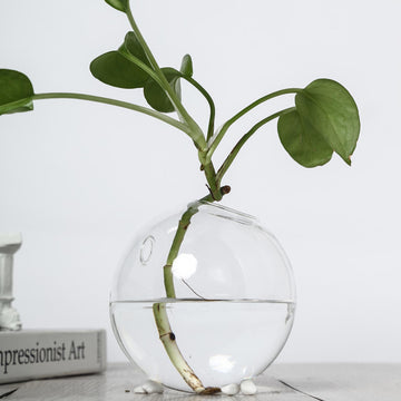 Elegant Clear Glass Wall Vase - Perfect for Event Decor