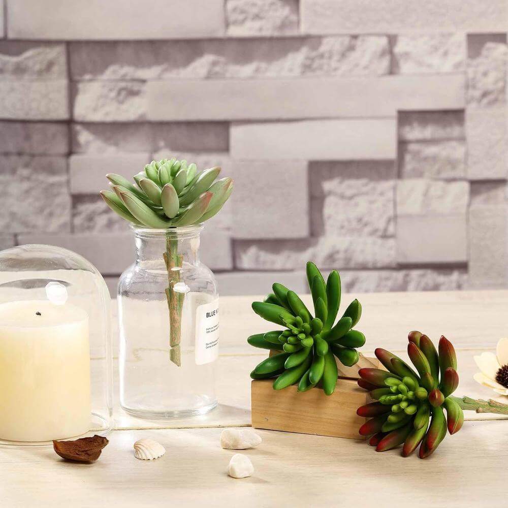 5 Ways to Get Creative with Our Succulents