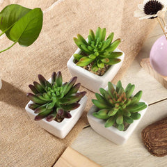 Presenting our new line of artificial succulent plants