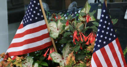 Creative Ways To Add Patriotic Spirit To Your Memorial Day Decorations