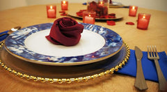 Be our Guest! Beauty and the Beast Inspired Setup!
