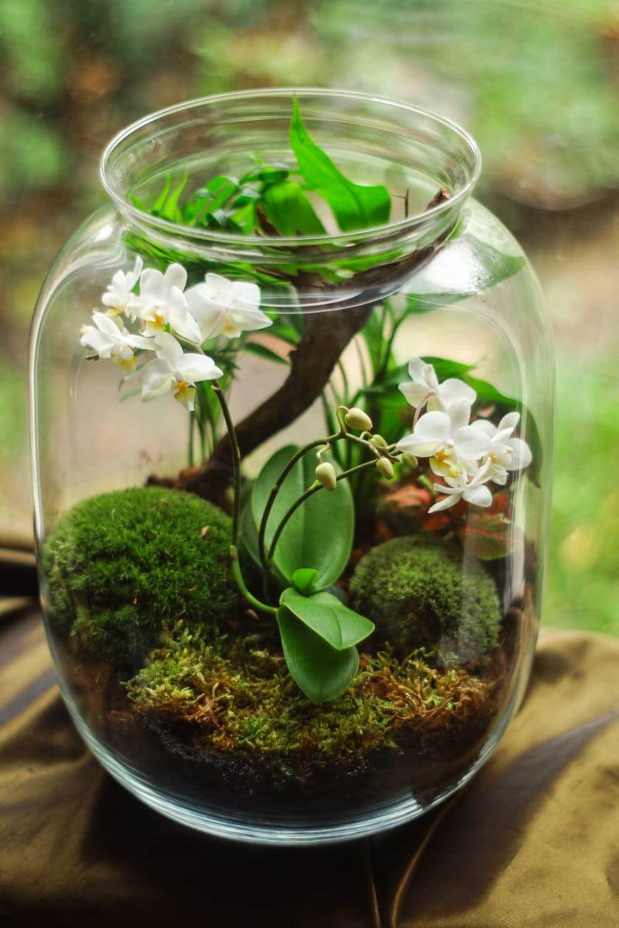 Enthralling Ways to Include Fake Moss in Your Decorations | eFavormart